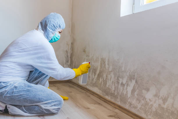 Hvac And Air Duct Mold Remediation inspection of HVAC system in Hampstead
