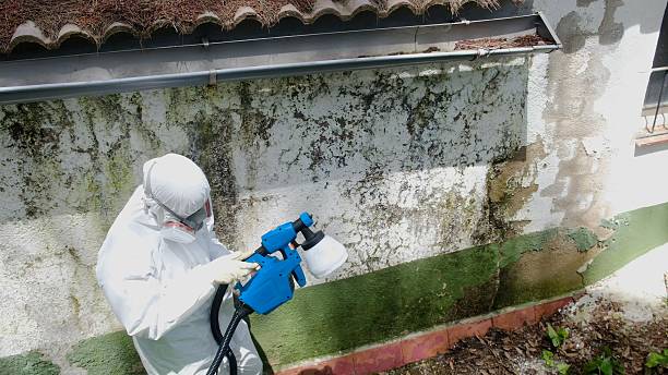 Mold Remediation service in Hampstead, Hampstead, NC